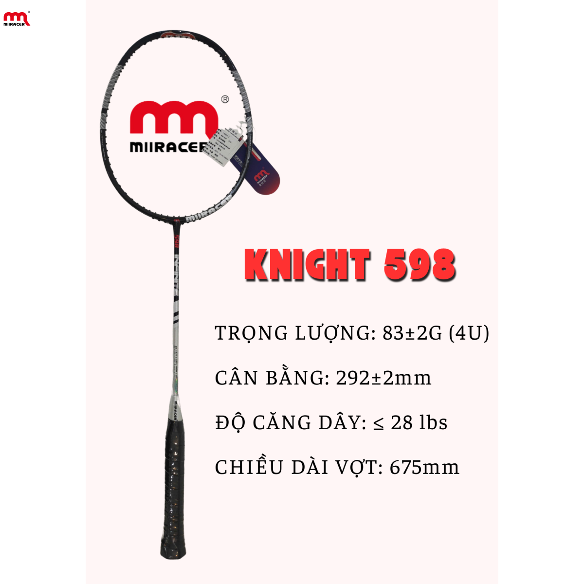 KNIGHT 598