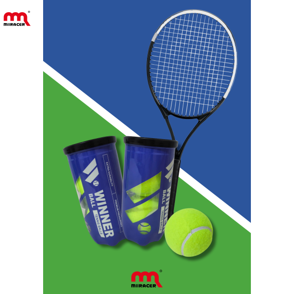 BÓNG TENNIS WINNER - HỘP 2 QUẢ